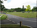 Chiddingfold village green