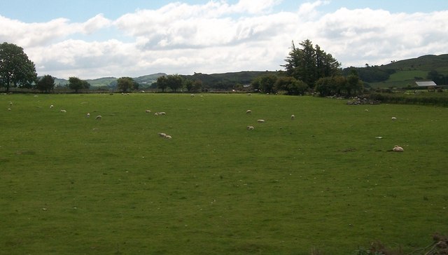 Sheep pastures at Rhwngddwyryd