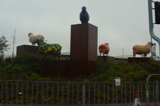 Multi-coloured Sheep, Harlescott, Shrewsbury