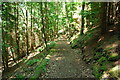 Footpath in Pen-y-coed