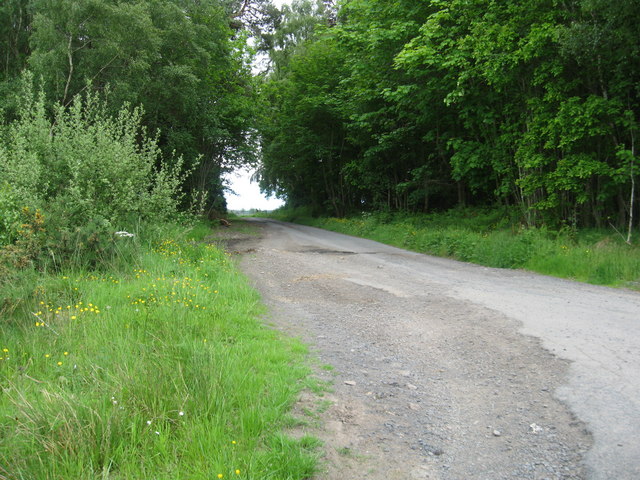 Road to Woodside Farm