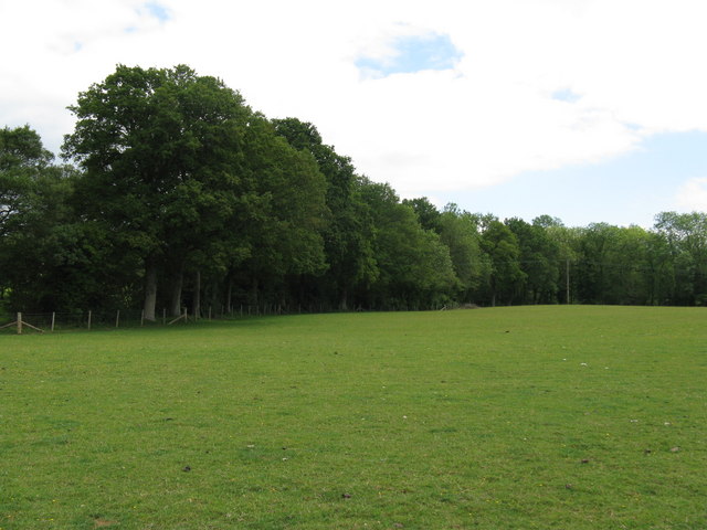 Field surrounded by Tugley Wood