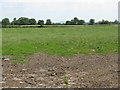 Big field near Cottage Farm