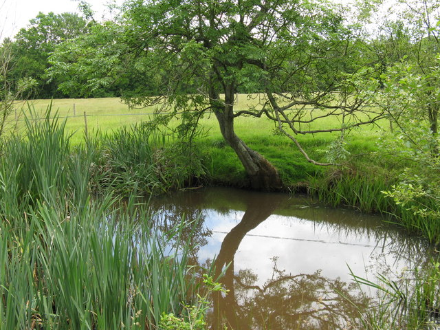 Small pond south of Downlands