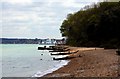 Groynes on the beach