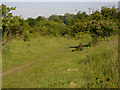 Mersey Vale Nature Park