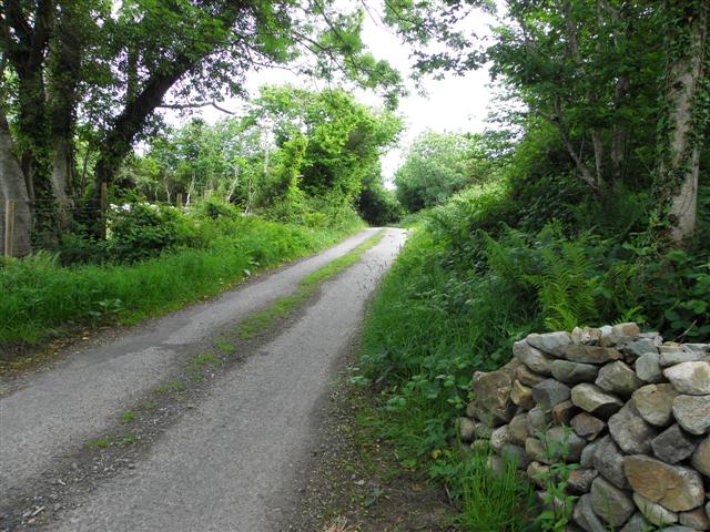 Road at Cartan
