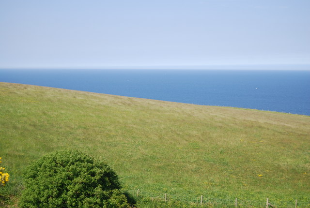Sloping pasture north of Ness Point