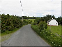 C2138 : Road near Ballymagahy by Kenneth  Allen