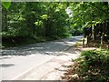 B3001 in woodland near Farnham