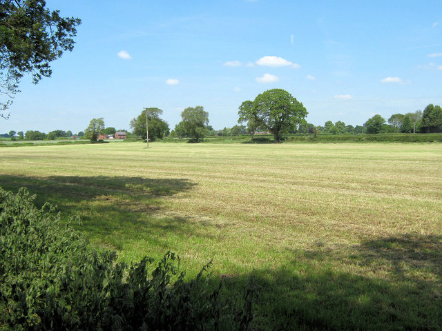 Mown field by the northern boundary
