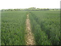 Footpath towards Lower Road