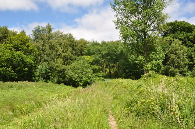 Woodlands of Herringfleet Hills © Ashley Dace :: Geograph Britain and ...