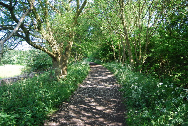 Old railway in Cock Mill Wood