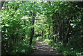 Old railway in Cock Mill Wood