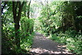 Old railway in Cock Mill Wood