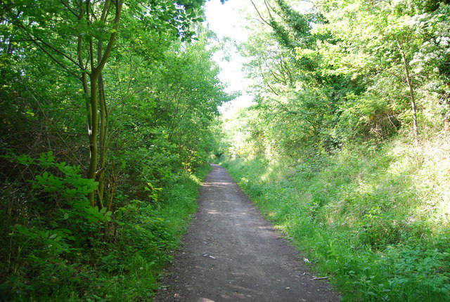 Old railway in Cock Mill Wood