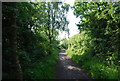 Old railway in Cock Mill Wood