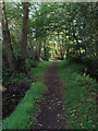 Footpath, Pirbright