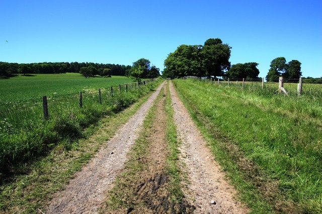 Fenced track to Upleatham