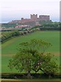 Bamburgh Castle from Shada Plantation