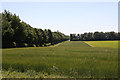 Farmland near Newmarket