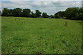 Farmland near Cadborough Farm