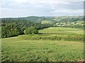 Higherhassels Copse, and field above Cove