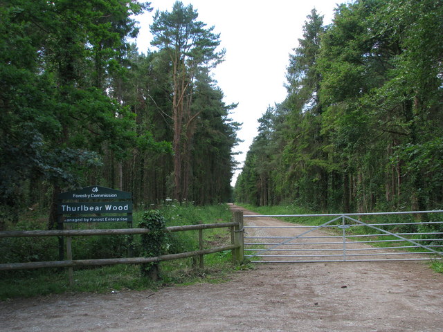 Entrance to Thurlbear Wood