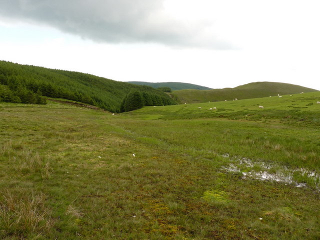 Marshy ground at the head of the Nant Efail-fach