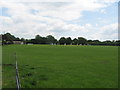 Cricket Pitch, Smallfield