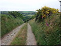 Old lane  to Trecwn