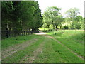 Bridleway approaching drive to Dunsfold Ryse