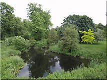 SU9678 : Fellow's Pond, Eton by Derek Harper