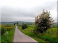 Country road from Ale Oak to Crossways