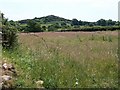 View across a hay field towards the rock outcrops above Penlon Llyn