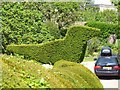 Impressive Topiary