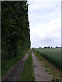 TM3771 : Footpath to Packway Farm by Geographer