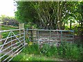 Sheep Pen below Cefn Moel