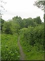 Footpath - White Gate