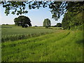 Arable land near Newland