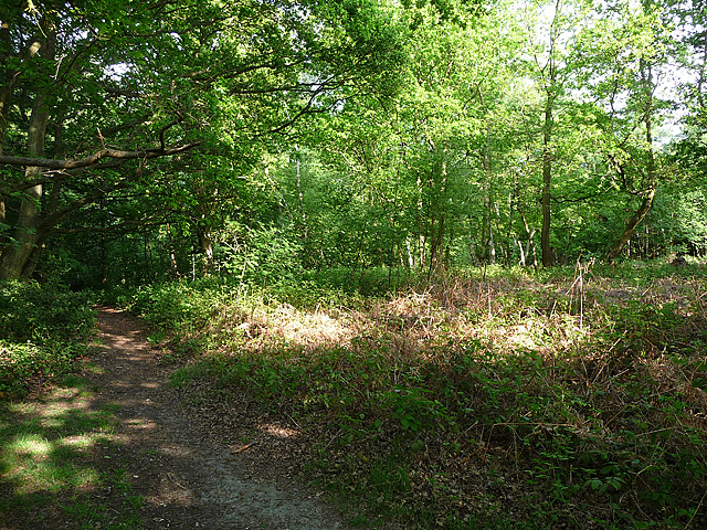 Shirley Heath, Upper Shirley (2) © Stephen Richards cc-by-sa/2.0 ...