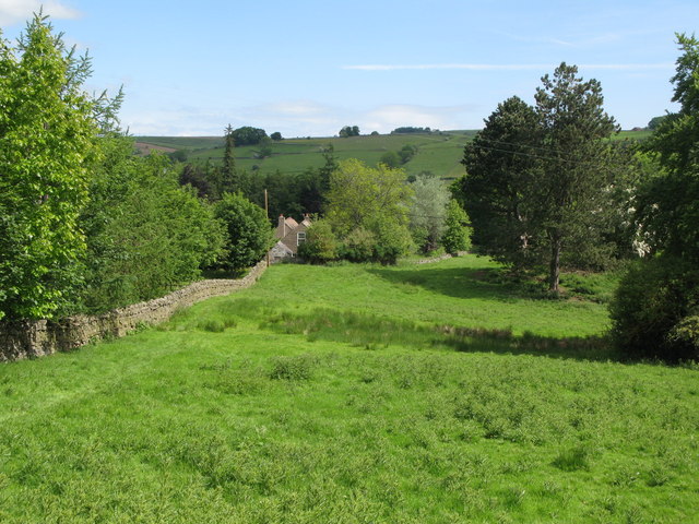 Pastures and woodland near Thornley Gate (2)