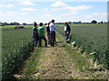 Morley Arable Research Centre open day