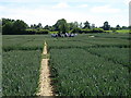 Morley Arable Research Centre open day