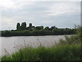 North Ewster from across the Trent