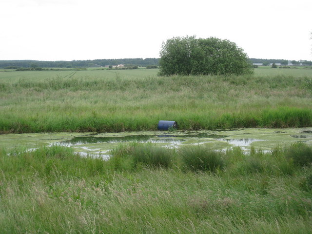Barrel on the River Eau