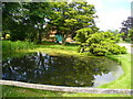 Pond at Well