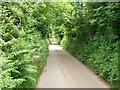 The road east of Capel Bethel, Penrhos