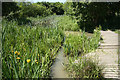 Shire Brook Valley Nature Reserve